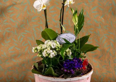 fleurs pour la fête des grands-mères à Creutzwald